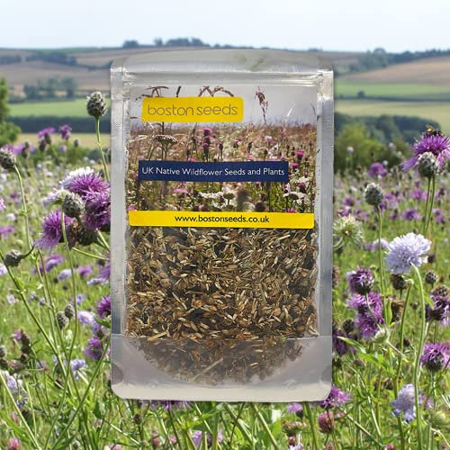 Boston Seeds Wildflower Seeds 100% Perennial Heavy Clay Soil Seeds (15-200cm Height) - Wild Flower Seed Mixture with 24x Various British Native Wildflower Seeds. Wildflower Seed Mix. (100g)