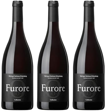 Weingut Schloss Ortenberg Furore Rot trocken Rotwein Deutschland inkl. FeinWert E-Book (3 x 0.75 l)