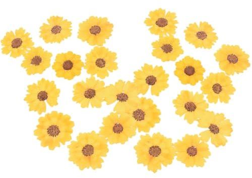 TOYANDONA Gepresste Chrysanthemen Getrocknete Blumen 24 Stück 2,5 4cm Für Scrapbooking DIY Kerze Mit Trockenblumen Bastelmaterial Für Harz Handarbeit
