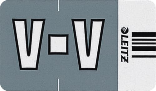 Leitz 66311000 Orgacolor Buchstabensignal V, 250 Stück, grau