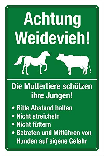 Schild Weidetiere Weidevieh Kuh Pferd Abstand halten Warnung 300 x 200 mm | 3 mm Alu-Verbund, wetterfester UV-Direktdruck, robust und langlebig, Made in Germany