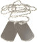 A. Blöchel 2er Set US Army Erkennungsmarke mit Ketten Hundemarke Dog Tag Farben: Schwarz, Silber oder Gold (Silber)