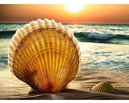 Zdklfm69 Peindre par Nombre Peinture par numéro Kits de Coquille de Sable Bricolage Peinture Abstraite par numéro sur Toile décor à la Maison numérique Peinture à la Main décorer 40x50cm