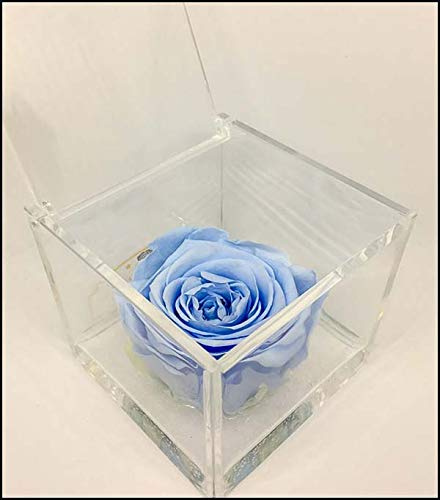 Cubo Rosa Stabilizzata Profumata Azzurra da 5 cm con Rosa azzurra e base marmo di Carrrara | Idea Regalo Bomboniere comunione, cresima, Battesimo, Fatto in Italia (Celeste 1054)