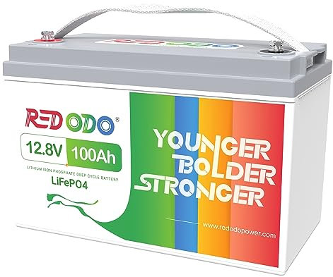 Redodo 12V 100Ah LiFePO4 Batterie, 100A BMS, 4000-15000 Zyklen Deep Cycle Lithium Akku, MAX 1280W Leistung, Perfekter Ersatz für Blei-Säure Batterien für Wohnwagen, Camping, Solar Home Systeme, Boote