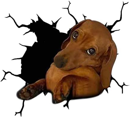 Asudaro 4 Stück Car Dekoration Tier Sticker Aufkleber, Hundeloch Autofenster Aufkleber 3D wasserdichter Hund Autoaufkleber Lustige Persönlichkeit Simulation Aufkleber,30cm x 30cm,#15