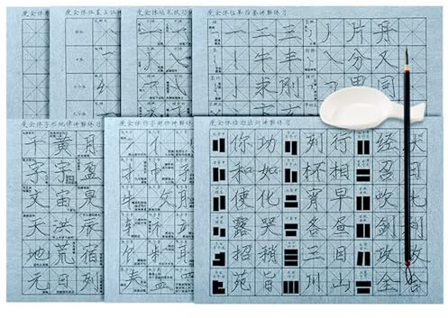 Karshor 9 st inget bläck kinesisk kalligrafi set, rutnätsborste vatten skrivtyg papper med kinesiska traditionella kalligrafiborstar och vattenskål återanvändbar vatten skrivduk för nybörjare som