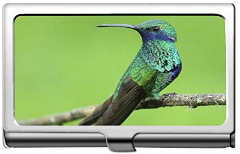 Geschäftsname-Kartenhalter, Kolibri-Vogel, der tropischen Kreditkarte-Identifikations-Kasten/Halter/Karten-Kasten sitzt