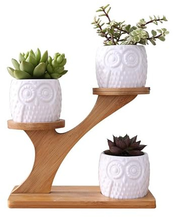 3 Stück/Set Eule Sukkulenten Töpfe mit 3 Etagen Bambus Untertassen Ständer Halter, weißer Keramik Blumentopf Pflanztopf mit Drainage, Garten Mini Kaktus Topf (3 Stück)