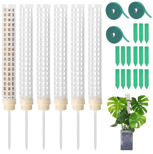 GothicBride 6 Stück Monstera Rankhilfe, Moosstab Transparent Set mit 3 Rollen Klebeband + 15 Etiketten, Rankhilfe Zimmerpflanzen Pflanzenstütze DIY Moss Pole 150cm