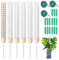 GothicBride Monstera Lot de 6 tuteurs en mousse transparent avec 3 rouleaux de ruban adhésif + 15 étiquettes, tuteur pour plantes d'intérieur et plantes d'intérieur 150 cm