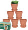 vensovo 10.16cm Terra Cotta Pots with Saucer - 6 Pack Clay Flower Pots with Drainage, Great for Plants, Crafts, Wedding Favor (10.16cm dia)