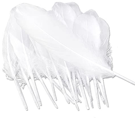 Dtoterul Weiße Federn 100 Stück Federn Zum Basteln Gänsefedern Weiß Bastelfedern Weiß Deko Federn Groß Weisse Federn Zum Basteln Dekorationen Federn für Kostüm Ohrringe Dekoration