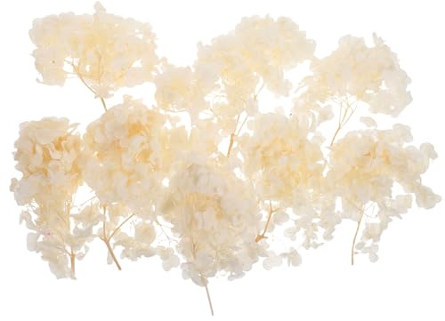 BIUDECO de Flor de Hortensia Seca para Decoración de Bodas Confeti Natural para Fiesta Centros de Mesa y DIY