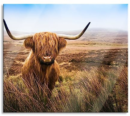 Highland Rind mit großen Hörnern Steppe Herdabdeckplatte & Spritzschutz aus Echtglas | Für Herd-Kochfelder | 60x52 cm