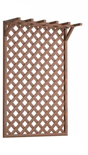 CQCCQ Gartenzäune for den Außenbereich, Sichtschutz aus Massivholz, dekorativ, freistehender Raumteiler, Stützrahmen for Pflanzen im Terrassengarten(Brown,100x150cm)