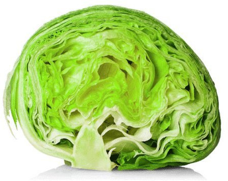 Iceberg en dirección lechuga 1000-40.000 semillas de la herencia mayor quebradizo no GMO sana