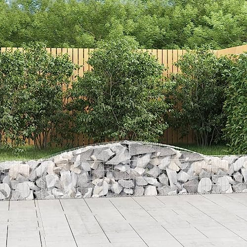 AJJHUUKI Lawn & Garden-Gardening-Pots & Planters-Arched Gabion Baskets 20 pcs 400x30x40/60 cm Galvanised Iron