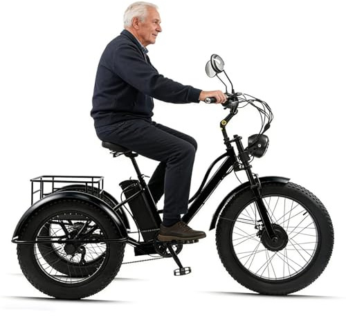 Wasd3Pods Fat-Tire-Dreirad Für Erwachsene Mit Korb – 20-Zoll-Elektro-Dreirad Mit Carbonstahlrahmen – 3-Rädriges Freizeitrad – Elektrisches Lastendreirad Für Senioren Black-noseat