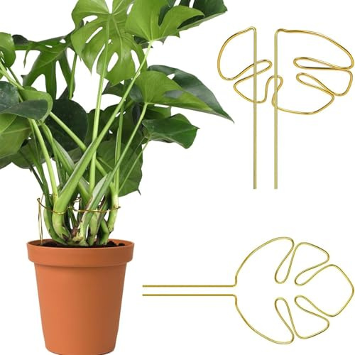 2 Stück Pflanzenstütze, Rankhilfe Monstera, Pflanzenstab für Kletternde Zimmerpflanzen Einzigartige, Multifunktionale Pflanzenständer für Drinnen und Draußen