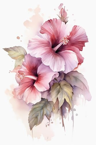 204451918 Poster 60 x 90 cm : bouquet de fleurs d'hibiscus rose aquarelle sur fond blanc