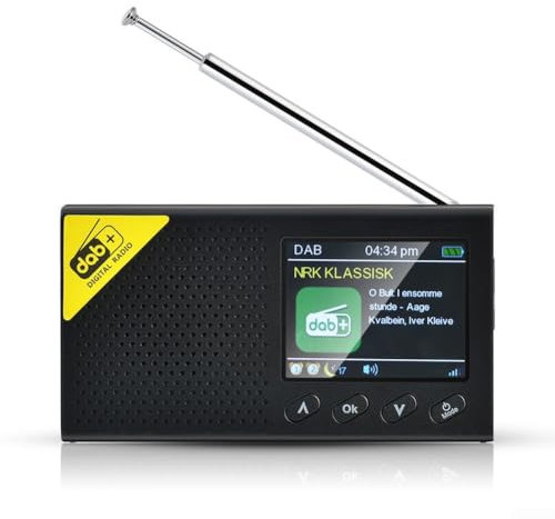 Radio digital portátil DAB con Bluetooth compatible, pantalla LCD de 2.4 pulgadas, receptor estéreo FM, batería recargable, 20 estaciones preestablecidas, color negro