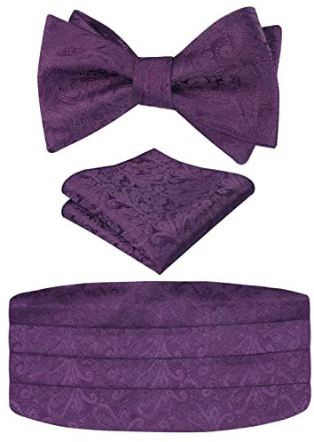 Alizeal Herren Neuheit Paisley Selbstgebundene verstellbare Fliege, Kummerbund und Taschentuch Set, Pflaume lila