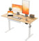 Agilestic Elektrischer Stehschreibtisch mit Schublade, höhenverstellbarer Schreibtisch, Ergonomischer Stehschreibtisch 120 * 60 aus Holz, mit Memory-Voreinstellungen für Arbeit Heimbüro, Hellbraun