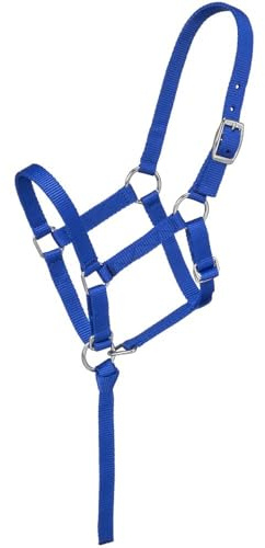 Tough 1 Nylon Foal Halter, Royal Blue, Suckling