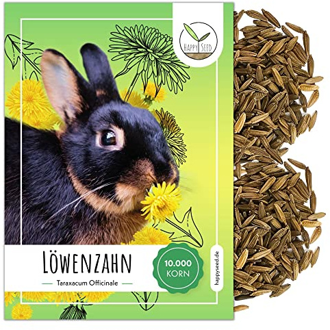Löwenzahn Samen für Kaninchen - Wildkräuter Saatgut als optimale Futterergänzung für Kaninchen, Meerschweinchen und Schildkröten (10.000 Samen)