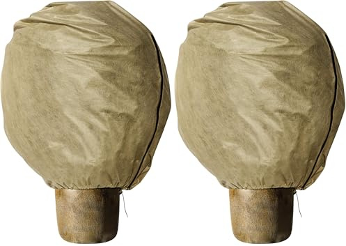 Windhager Winter-Vlieshaube Protect Kälteschutz Frostschutz Gartenvlies Abdeckvlies, Größe XL, 1,1 x 1,1m, Beige, 06832 (Packung mit 2)