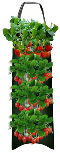 Ylnailky Pflanzsack | 4/6/8/10 Löcher Pflanztaschen Hängend | Vertikale Garten Pflanzwand | Pflanztaschen Für Draußen Hängend | Pflanzbeutel Für Blumen Tomaten Kräuter Gemüse