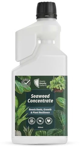 Seaweed Concentrate 500ml | Organic Ascophyllum Nodosum Seaweed Extract Plant Food | Liquid Fertiliser & Foliar Feed for Indoor & Outdoor Plants | Boosts Roots, Growth, Resilience | Makes Up to 50L