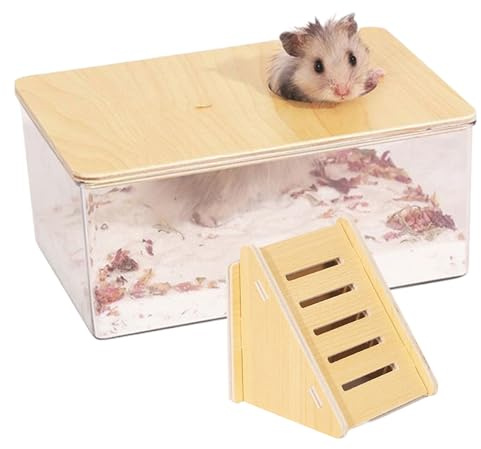 AZIDWERYQ Hamster sandbad, 2 st/set hamster sandbad behållare med stege, låda klart kit duschrum och stege för Lemming gerbils för hamstrar