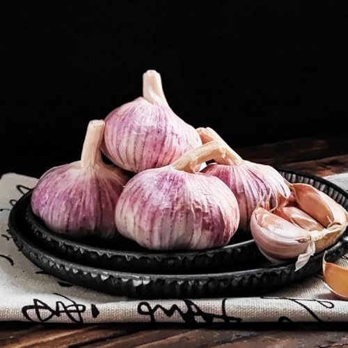 KnoblauchSamen-Pflanzknoblauch,bio saatgut,einfach zuPflanzensamen,winterhartePflanzenfür garten zimmerPflanzensamen,300pcs