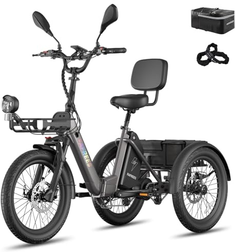 Fafrees F20 Mate II E Bike Dreirad für Erwachsene 48V Zulassung Herren E Bike Damen, Elektrofahrrad 3 Rädern 65N.m, Elektro Dreirad 20 Zoll, Fahrrad Fatbike 180kg