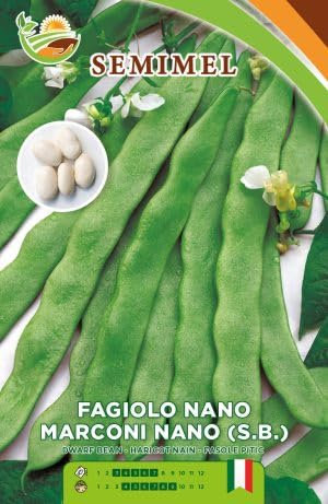 Fagiolo Marconi Nano S.B. - Semi di Fagiolo a Ciclo Medio-Precoce, Baccelli Lunghi e Appiattiti, 100g, 3 confezioni
