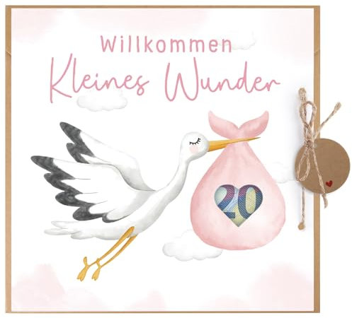 BETESSIN Welcome Home Baby Geschenke - Willkommen Zuhause Karte zur Geburt Mädchen - Glückwunschkarte mit Storch Motiv - Geburtskarte mit Umschlag - Geldgeschenke Verpackung zur Geburt & Babyparty