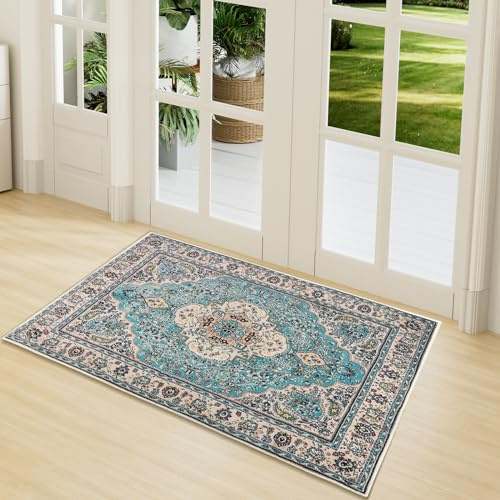 LY4U Türmatten Waschbar 40x60CM, Indoor Anti-Rutsch Schmutzfang Bodenmatte, Innen Haustür Matten, Absorbierende Low Profile Matte für Küche, Garten, Halle Eingang