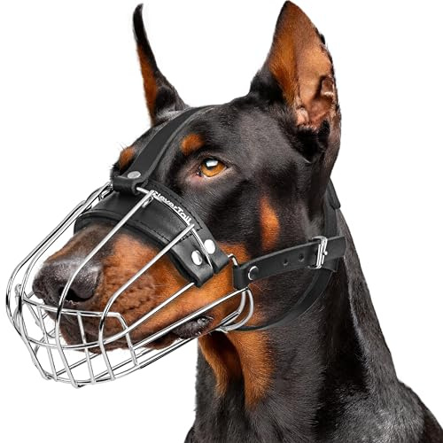 CleverTail Metall-Maulkorb für Dobermänner – Körbchen-Maulkorb gegen Bellen und Beißen – Stahl-Draht-Schutz für mittelgroße und große Hunde wie Dobermann, Collie, Malinois, Husky