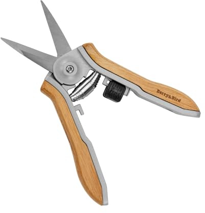 Berry&Bird Wooden Handle Floral Shears, Pointed Blade Gardening Hand Secateurs, Stainless Steel Precision Pruning Clippers, Small Garden Pruners, Bonsai Snips, Herb Trimming Scissors