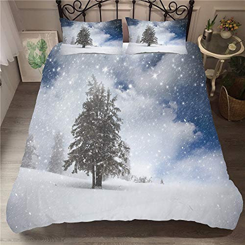 Odot 3D Bettwäsche-Set, Bettwäsche Set 100% Mikrofaser mit Reißverschluss Sparset Bettbezug mit Reißverschluss und Kopfkissenbezüge (2pcs-135x200cm,Schneit)