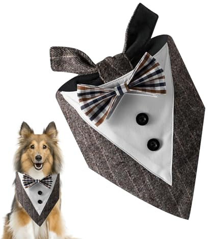 Hundhalsdukar för | Triangulär hundhalsduk för utomhusbruk – kattunge födelsedagsduk | för halloween födelsedag jul höst fest bröllop semester flicka