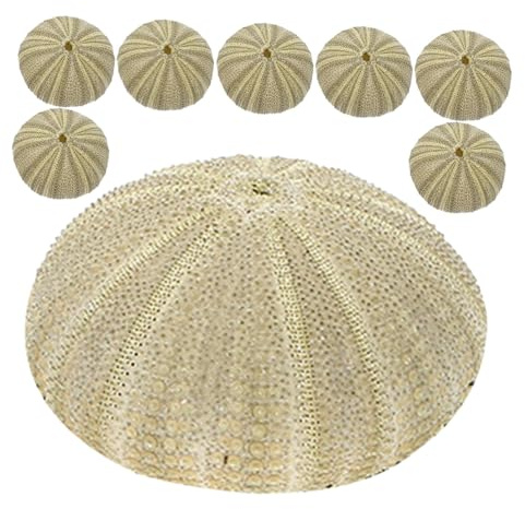 YARNOW 8 pièces Naturel Coquillages Oursin Remplissage Décoration Accessoires DIY Artisanat Ornement pour Aquarium et Fête Thème Plage