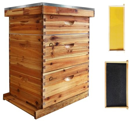 Bienenstock, Zander Beute für 30 Rahmen, 2 Tiefe + 1 Mittelgroßer Bienenhaus, Zedernholz Beute mit 10 Rahmen & Gewachstem Fundament, Bienenhaus Bienenstockkasten Nachhaltig Imkereibedarf