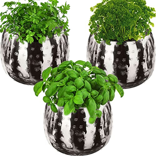 QMBasic 3er KRÄUTERTOPF Set Silber | Ø11cm Metall Übertopf Gross Pflanzen Kübel Blumentopf