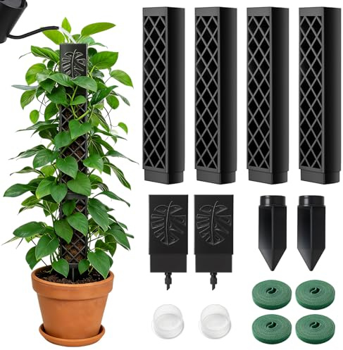 Haoledy Mosspinne, självbevattning, utbyggbar, 4 stycken 24,5 cm, monstera, växtstöd, klätterstöd, ihålig D-formad, växtstav växter tillbehör moss pol, växtstöd, krukväxter (svart)
