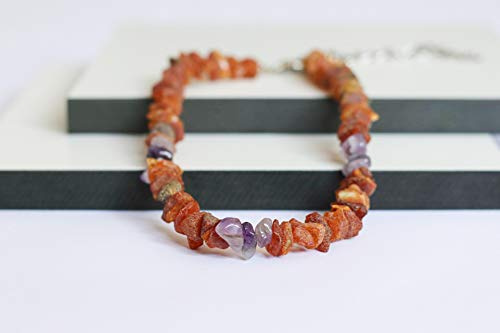 Bernsteinkette für Hunde aus Roh Baltischer Bernstein mit Amethyst verziert | Zeckenhalsband | Bernstein Gegen Zecken | Zecken und Flohschutz Halsband (50-55 cm)