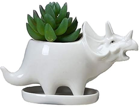 KiaoTime Sukkulenten Blumentopf Keramik Weiß Dinosaurier Kleine Blumentopf Bonsai Vase Kaktus Vase Tier Schreibtisch Dekoration Stiftehalter Kindergarten