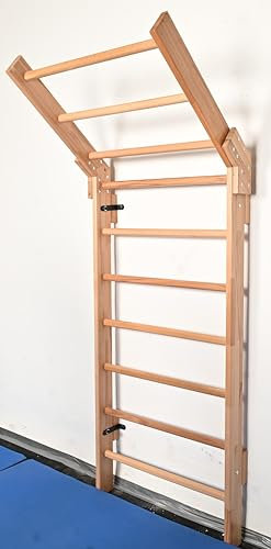 ARTIMEX Sprossenwand für Physiotherapie, Gymnastik und Fitness, Gladiator-Modell - Verwendung in Heimen, Kliniken und Fitnesscentern - aus buche, 240x90 cm, Artikelnr. 221-G